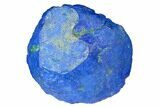 Vivid Blue, Cut/Polished Azurite Nodule - Siberia #175567-1
